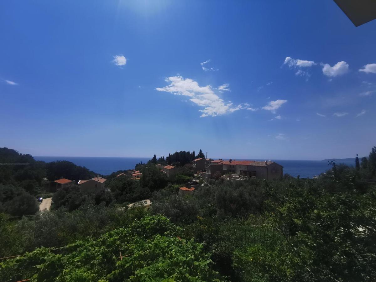 Apartments Djedovic 2 Petrovac Exterior photo